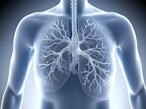 解析美日联研KNC肺益莱：珍稀成分与创新技术的完美结合，让科学护肺立竿见影！